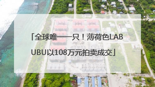 全球唯一一只！薄荷色LABUBU以108万元拍卖成交