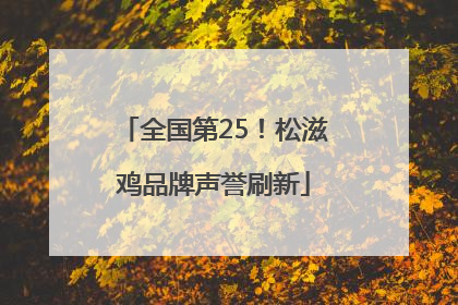 全国第25！松滋鸡品牌声誉刷新