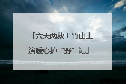 六天两救！竹山上演暖心护“野”记