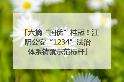 六摘“国优”桂冠！江阴公安“1234”法治体系铸就示范标杆