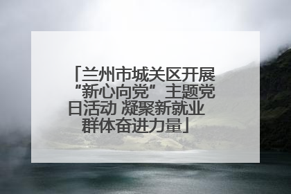 兰州市城关区开展“新心向党”主题党日活动 凝聚新就业群体奋进力量