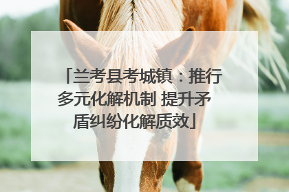 兰考县考城镇：推行多元化解机制 提升矛盾纠纷化解质效