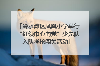 冷水滩区凤凰小学举行“红领巾心向党”少先队入队考核闯关活动