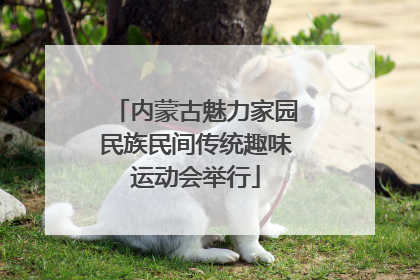 内蒙古魅力家园民族民间传统趣味运动会举行