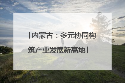 内蒙古：多元协同构筑产业发展新高地