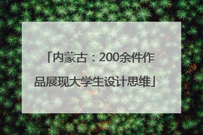 内蒙古：200余件作品展现大学生设计思维