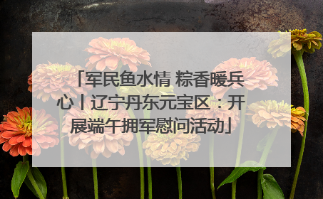 军民鱼水情 粽香暖兵心丨辽宁丹东元宝区：开展端午拥军慰问活动