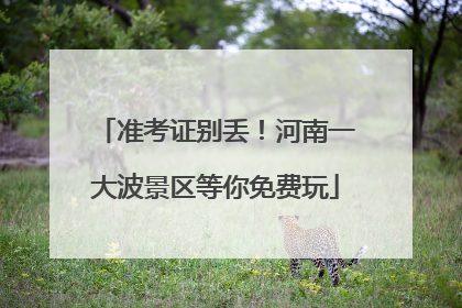 准考证别丢！河南一大波景区等你免费玩