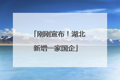 刚刚宣布！湖北新增一家国企