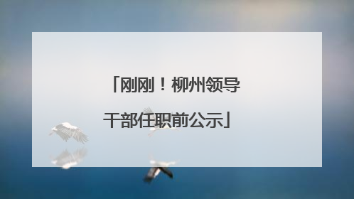 刚刚！柳州领导干部任职前公示