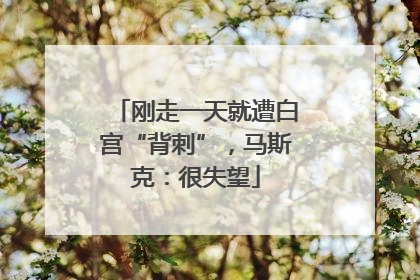 刚走一天就遭白宫“背刺”，马斯克：很失望