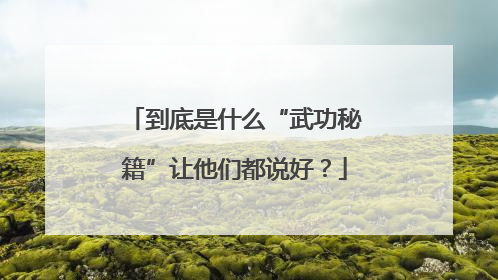 到底是什么“武功秘籍”让他们都说好？