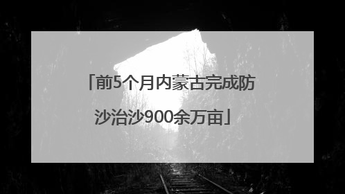 前5个月内蒙古完成防沙治沙900余万亩