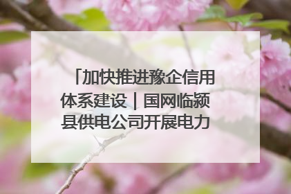 加快推进豫企信用体系建设｜国网临颍县供电公司开展电力行业信用企业现场咨询访谈工作