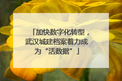加快数字化转型，武汉城建档案着力成为“活数据”