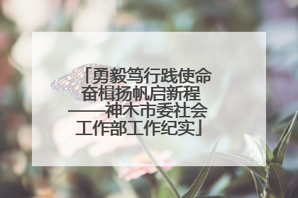 勇毅笃行践使命 奋楫扬帆启新程——神木市委社会工作部工作纪实