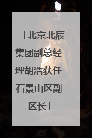 北京北辰集团副总经理胡浩获任石景山区副区长