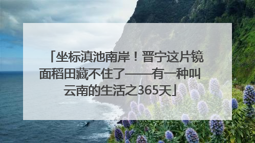 坐标滇池南岸！晋宁这片镜面稻田藏不住了——有一种叫云南的生活之365天
