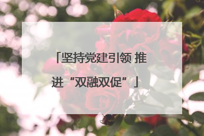 坚持党建引领 推进“双融双促”