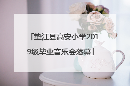 垫江县高安小学2019级毕业音乐会落幕