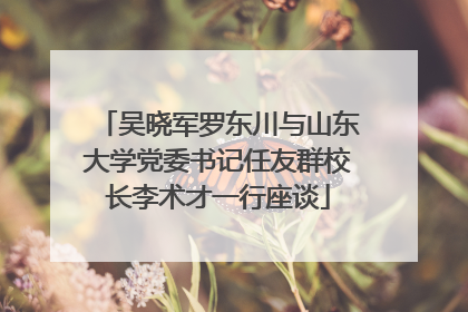 吴晓军罗东川与山东大学党委书记任友群校长李术才一行座谈