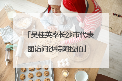 吴桂英率长沙市代表团访问沙特阿拉伯