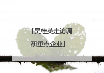 吴桂英走访调研重点企业