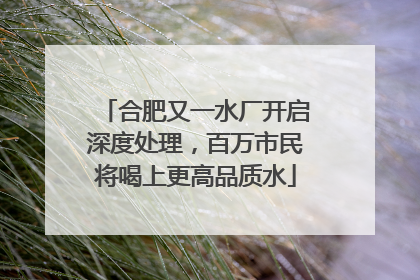 合肥又一水厂开启深度处理，百万市民将喝上更高品质水