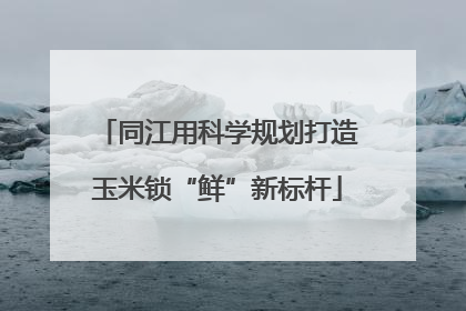 同江用科学规划打造玉米锁“鲜”新标杆