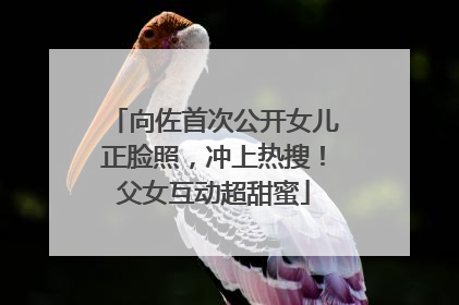 向佐首次公开女儿正脸照，冲上热搜！父女互动超甜蜜