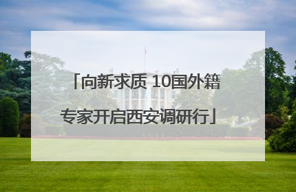 向新求质 10国外籍专家开启西安调研行