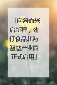 向海而兴启新程，劲仔食品北海智慧产业园正式启用