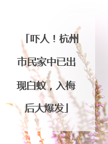 吓人！杭州市民家中已出现白蚁，入梅后大爆发