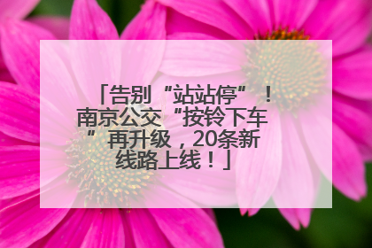 告别“站站停”！南京公交“按铃下车”再升级，20条新线路上线！