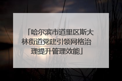 哈尔滨市道里区斯大林街道党建引领网格治理提升管理效能