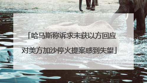 哈马斯称诉求未获以方回应 对美方加沙停火提案感到失望