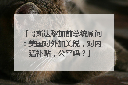 哥斯达黎加前总统顾问：美国对外加关税，对内猛补贴，公平吗？