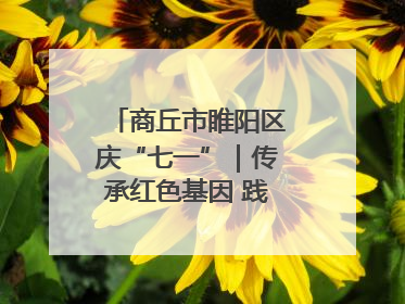 商丘市睢阳区庆“七一”｜传承红色基因 践行初心使命