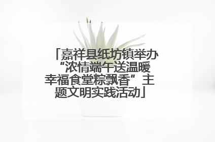 嘉祥县纸坊镇举办“浓情端午送温暖 幸福食堂粽飘香”主题文明实践活动