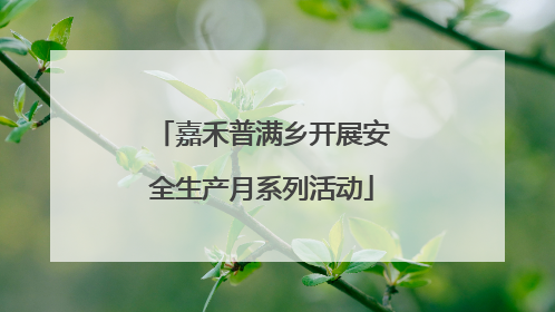 嘉禾普满乡开展安全生产月系列活动