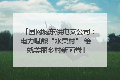 国网城东供电支公司：电力赋能“水果村” 绘就美丽乡村新画卷