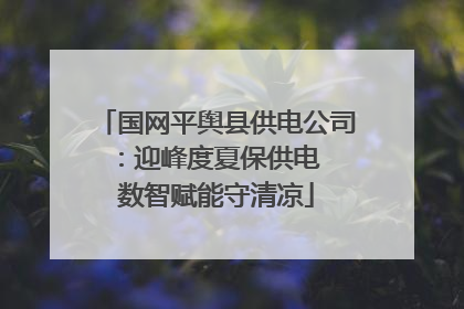 国网平舆县供电公司：迎峰度夏保供电  数智赋能守清凉
