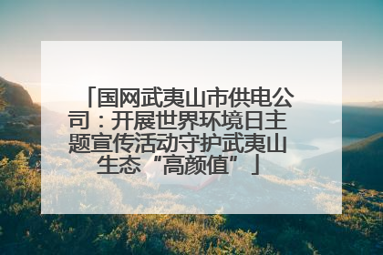国网武夷山市供电公司：开展世界环境日主题宣传活动守护武夷山生态“高颜值”
