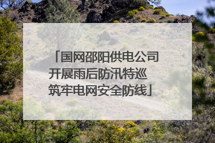 国网邵阳供电公司开展雨后防汛特巡 筑牢电网安全防线