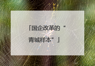 国企改革的“青城样本”