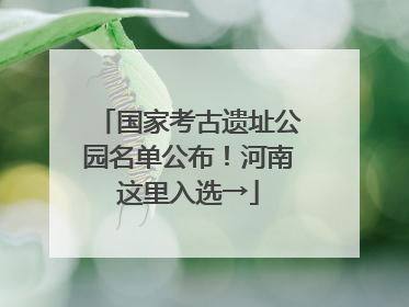 国家考古遗址公园名单公布！河南这里入选→