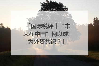 国际锐评丨“未来在中国”何以成为外资共识？