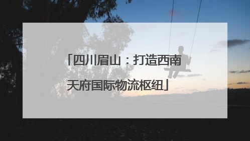 四川眉山：打造西南天府国际物流枢纽