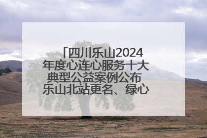 四川乐山2024年度心连心服务十大典型公益案例公布 乐山北站更名、绿心路井盖治理等上榜