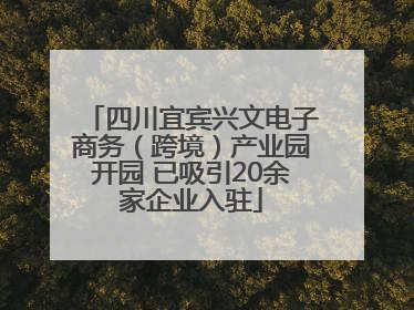 四川宜宾兴文电子商务（跨境）产业园开园 已吸引20余家企业入驻